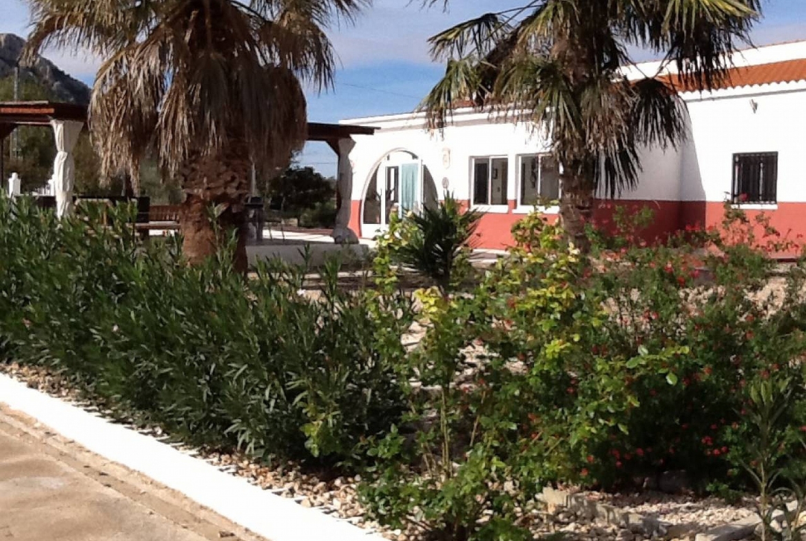 For Sale in Villena