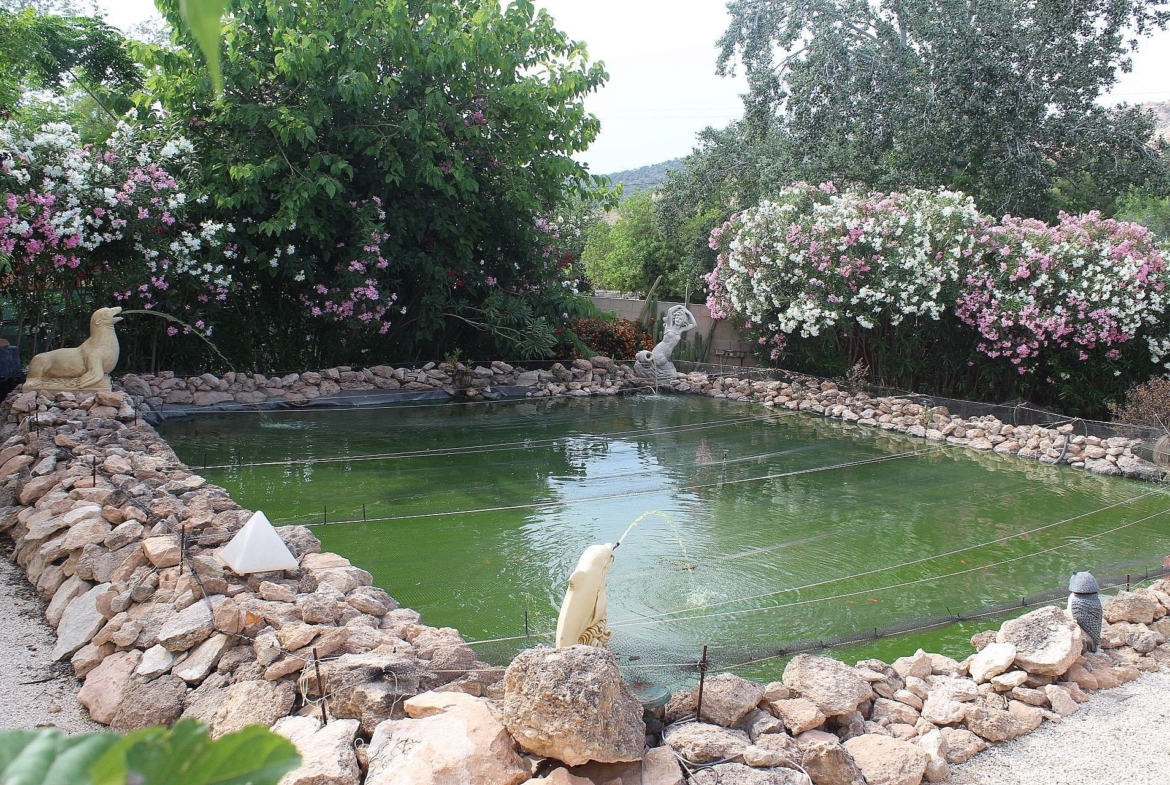 For Sale in Algueña