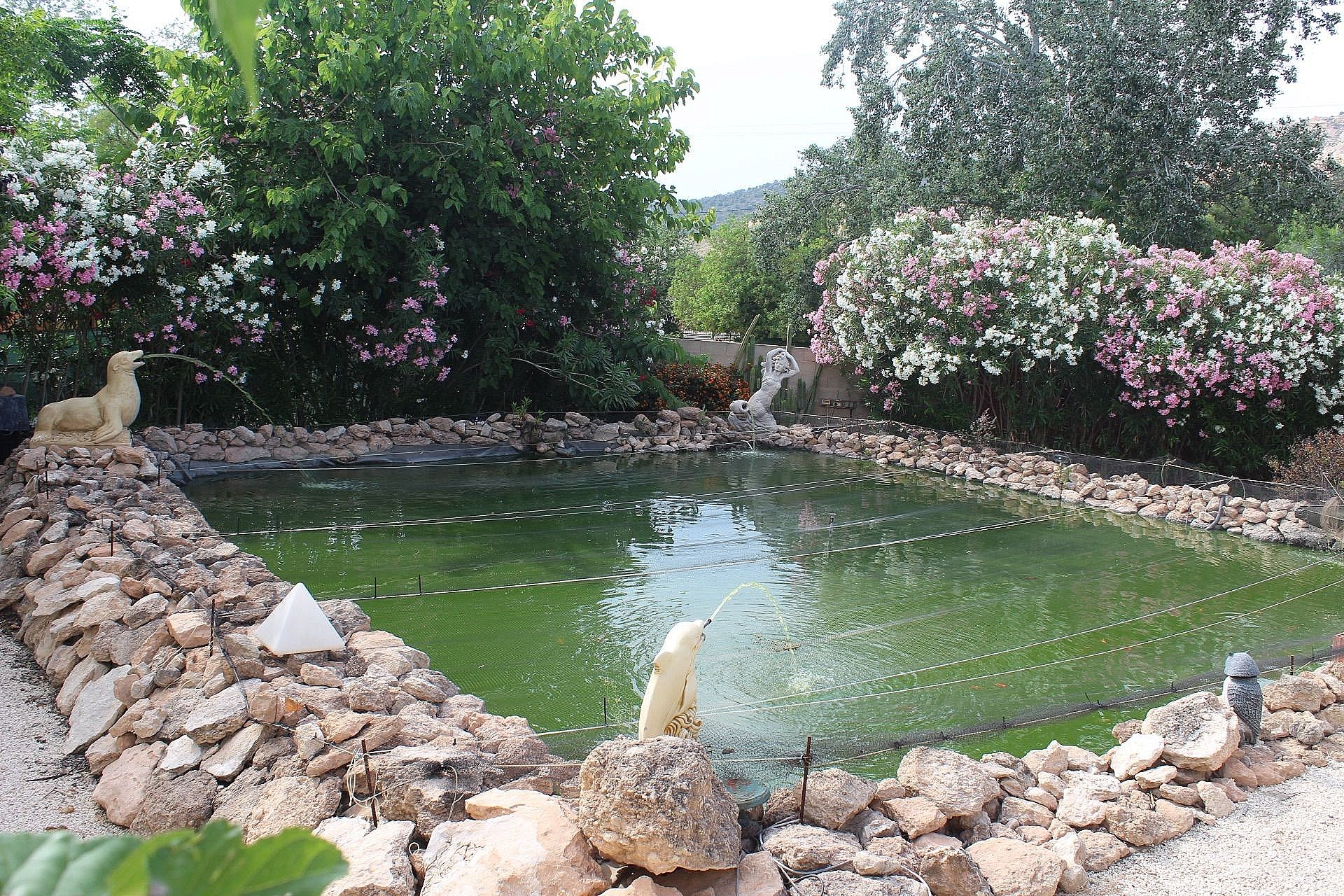 For Sale in Algueña