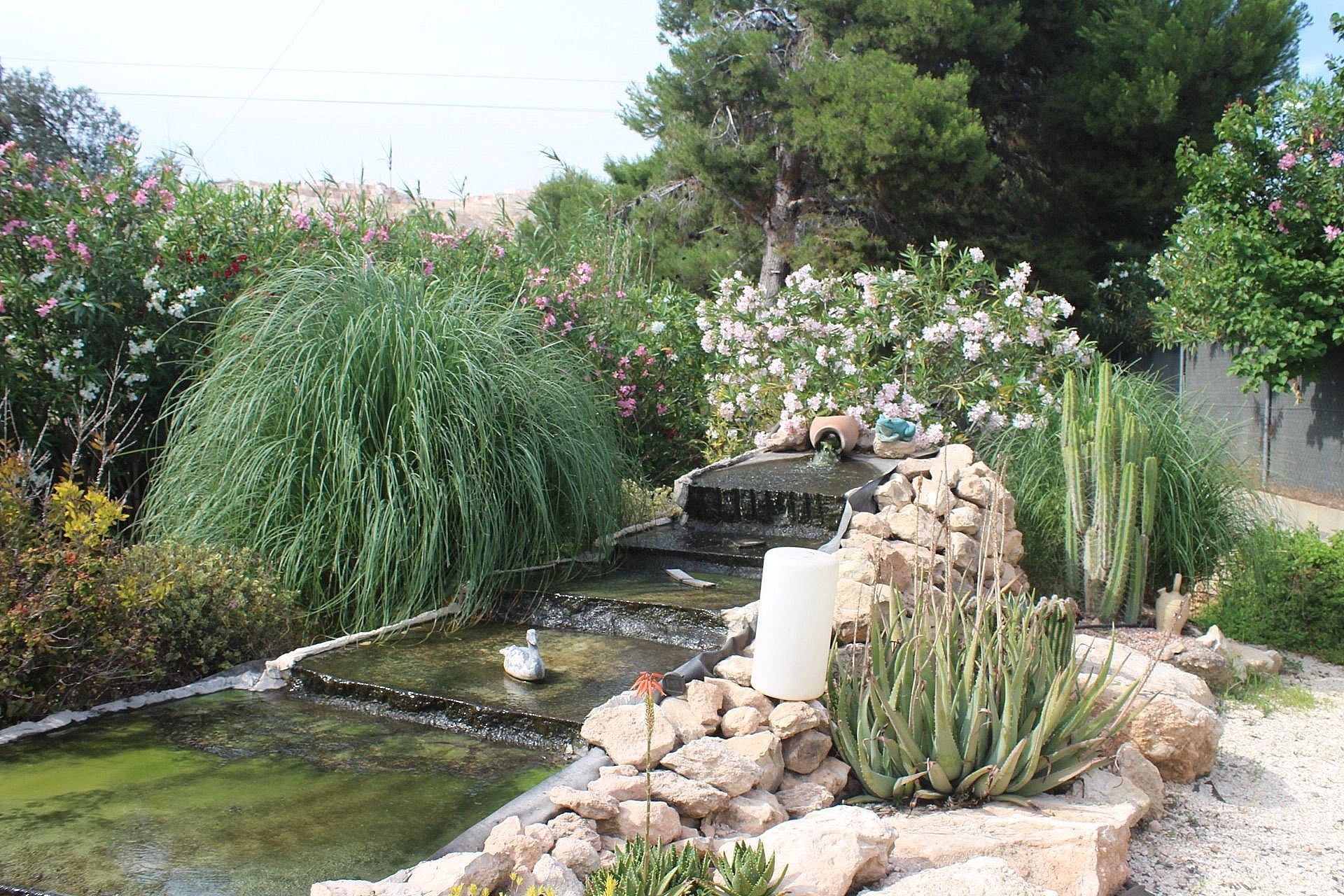 For Sale in Algueña