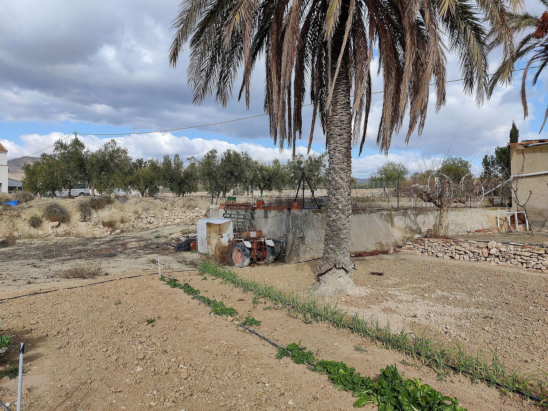 For Sale in La Romana