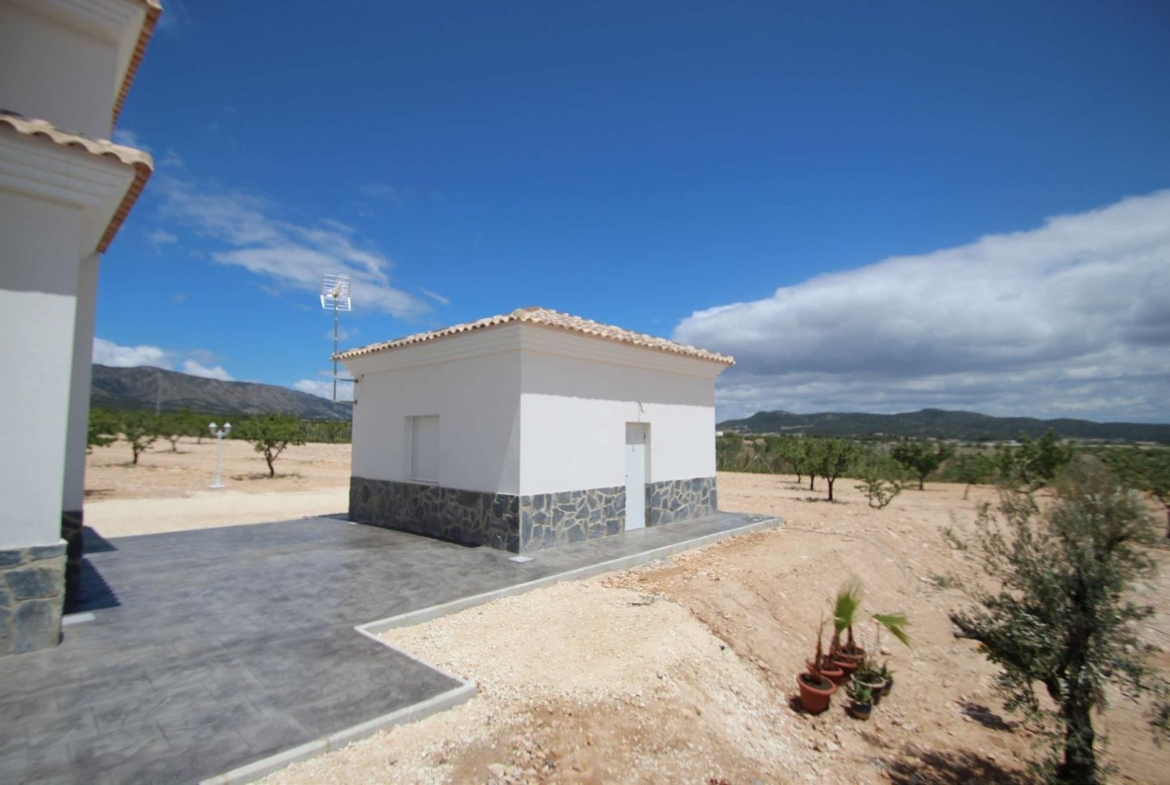 For Sale in Pinoso