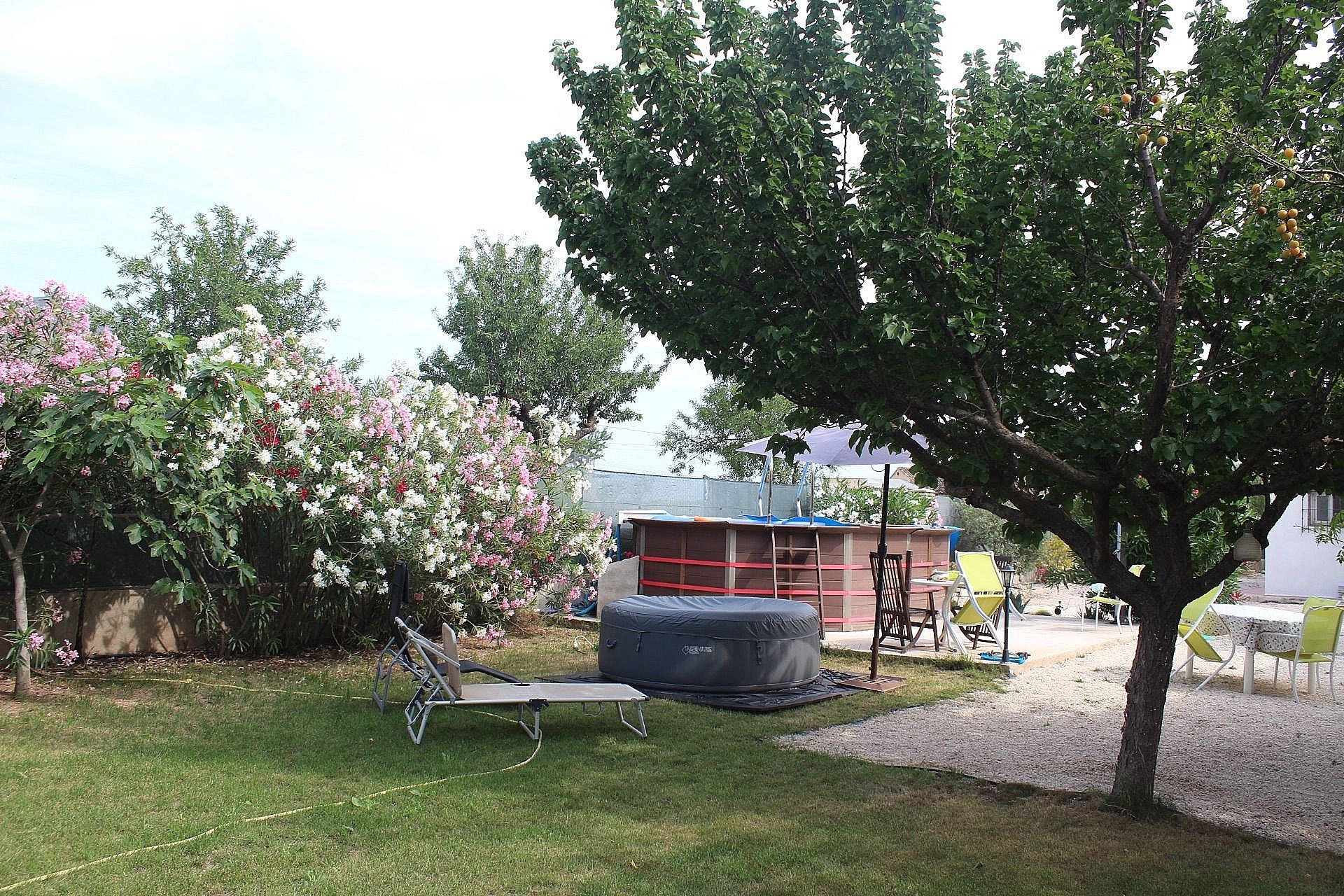 For Sale in Algueña