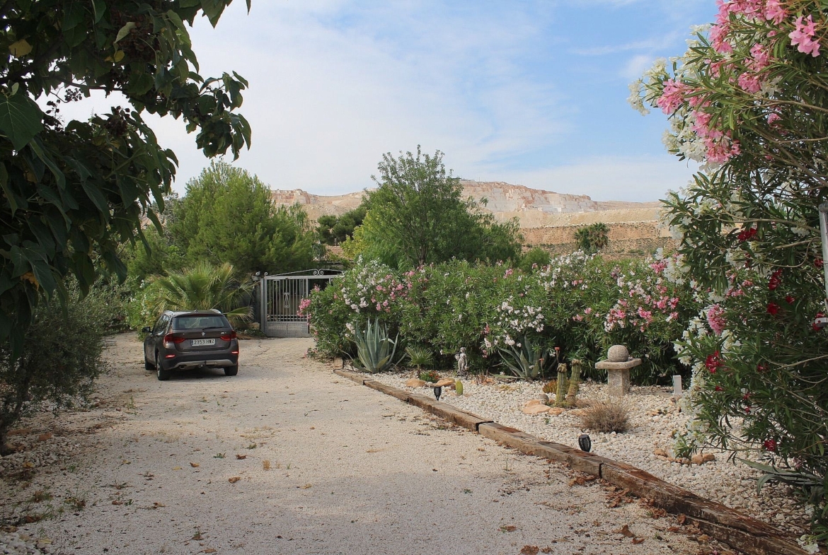 For Sale in Algueña