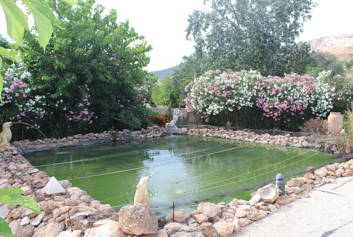 For Sale in Algueña