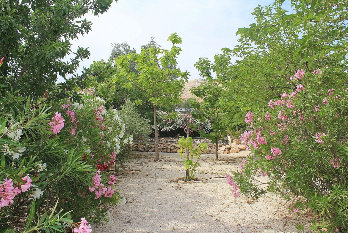 For Sale in Algueña