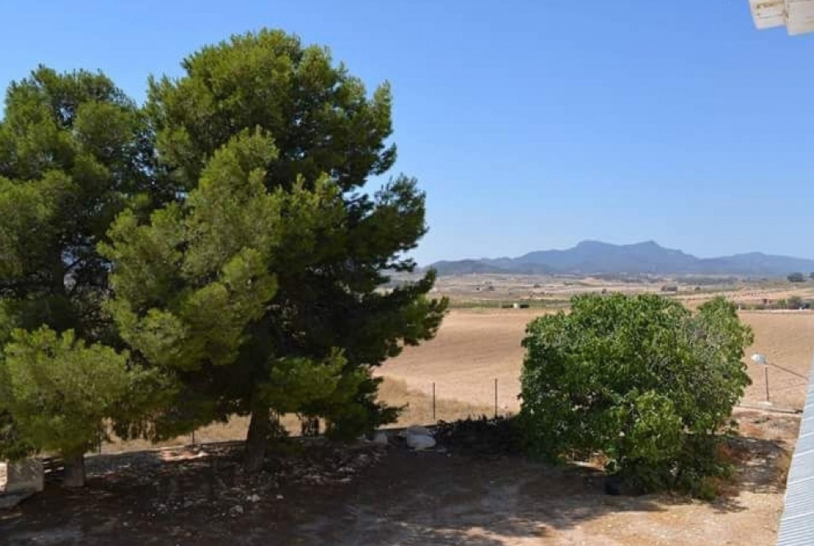 For Sale in Torre Del Rico