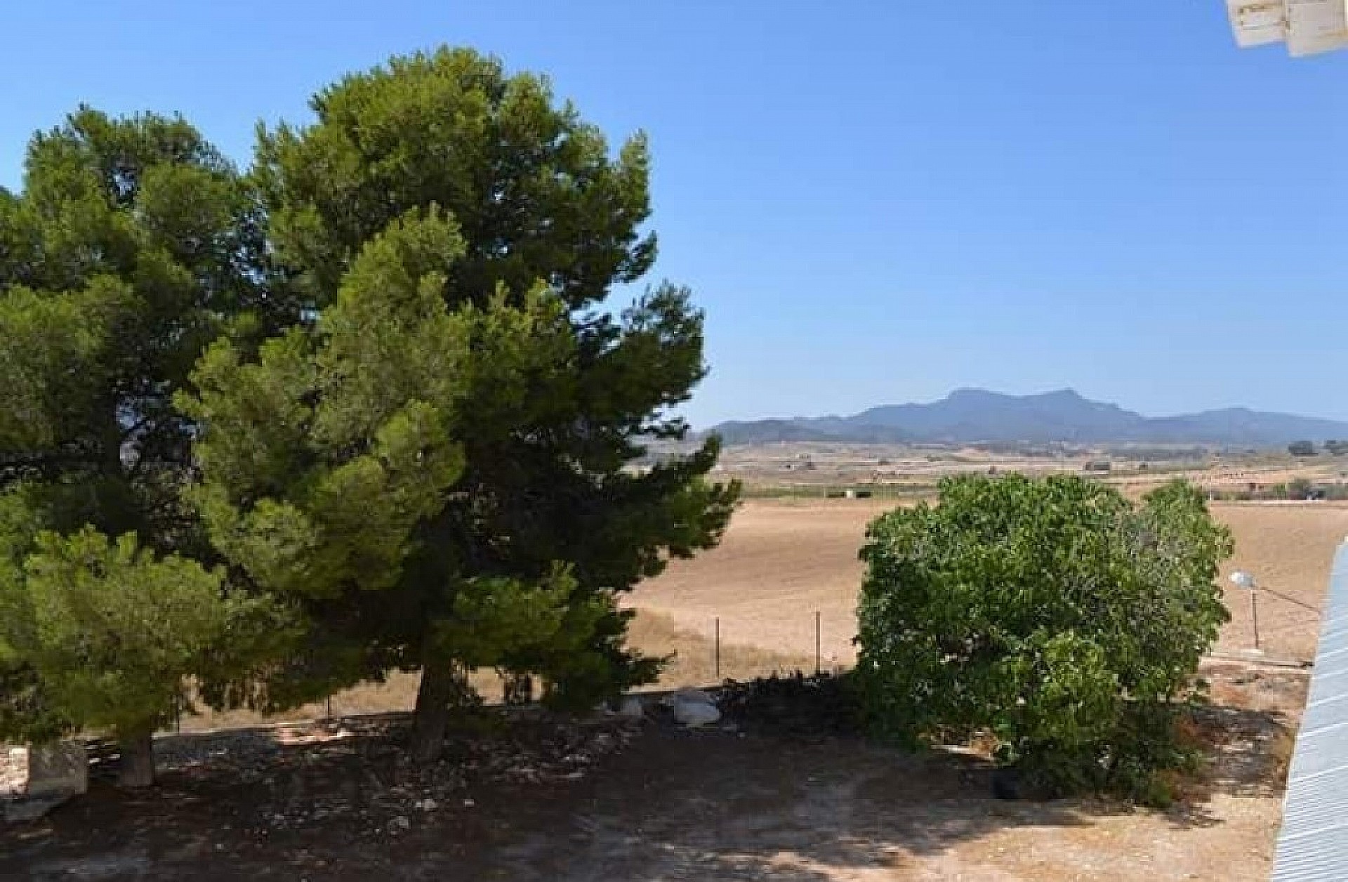 For Sale in Torre Del Rico