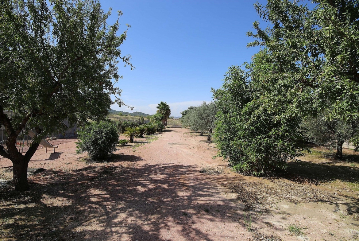 For Sale in Casas del Señor