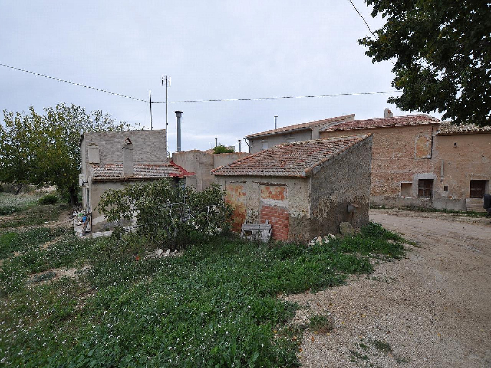 For Sale in Jumilla